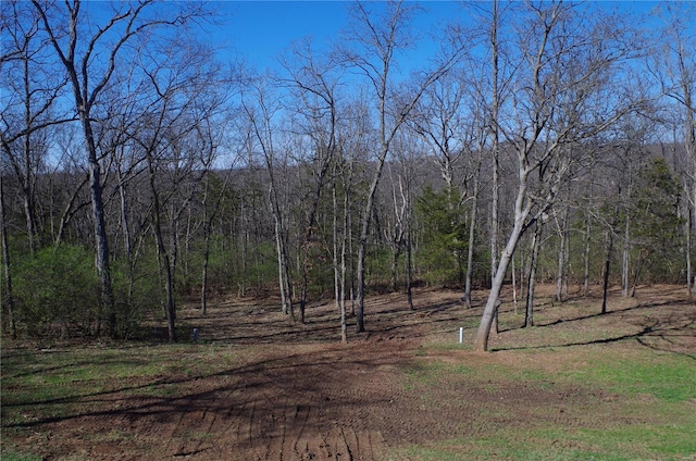 1077 Creech School Rd, Troy, MO 63379 - view of tree filled area