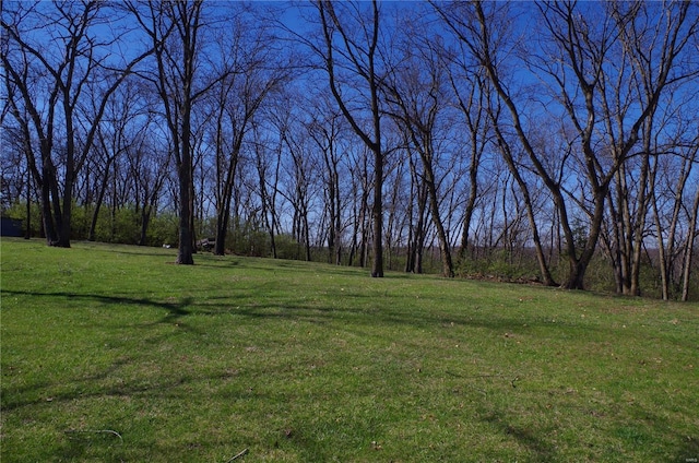 1077 Creech School Rd, Troy, MO 63379 - view of green lawn