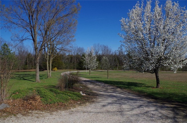 1077 Creech School Rd, Troy, MO 63379 - view of road
