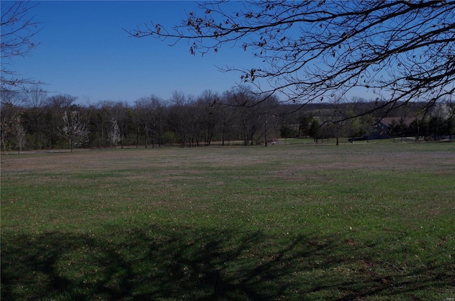 1077 Creech School Rd, Troy, MO 63379 - view of green lawn