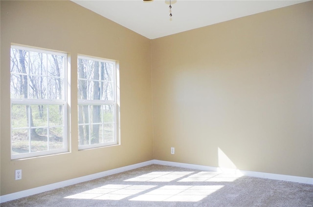 1077 Creech School Rd, Troy, MO 63379 - carpeted spare room with baseboards