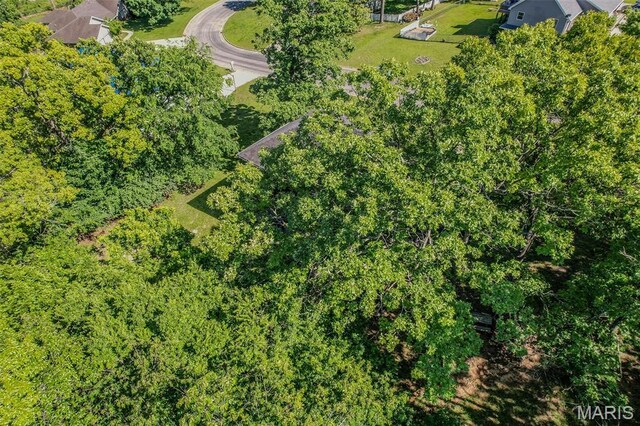 212 Tremont Dr, Waynesville, MO 65583 - drone / aerial view
