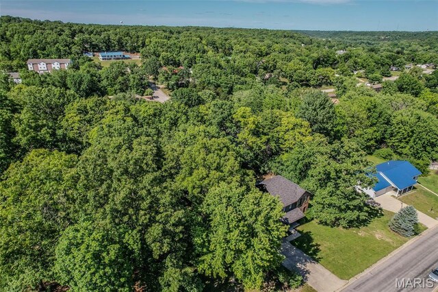 212 Tremont Dr, Waynesville, MO 65583 - bird's eye view of a forest