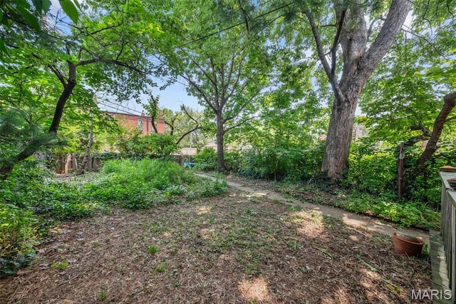 4521 Arco Ave, Saint Louis, MO 63110 - photo 38