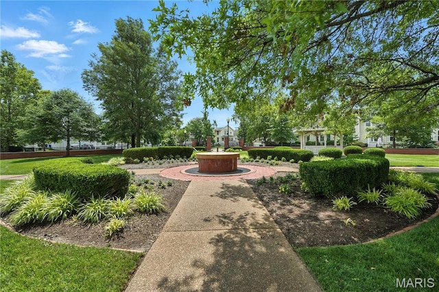 5784 Westminster Pl, Saint Louis, MO 63112 - view of property's community