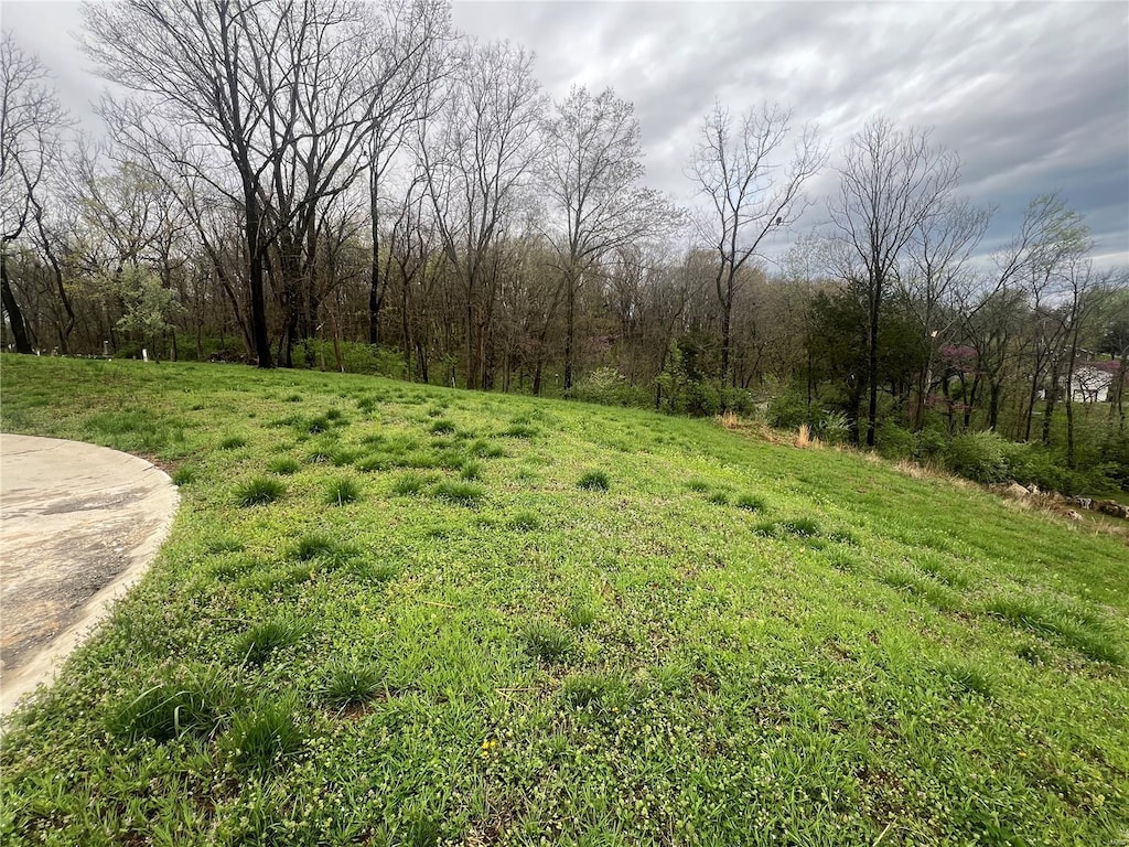 725 Old Mill Dr, Cape Girardeau, MO 63701 - photo 3