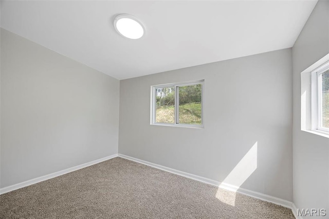 9218 Ellison Dr, Saint Louis, MO 63136 - photo 14