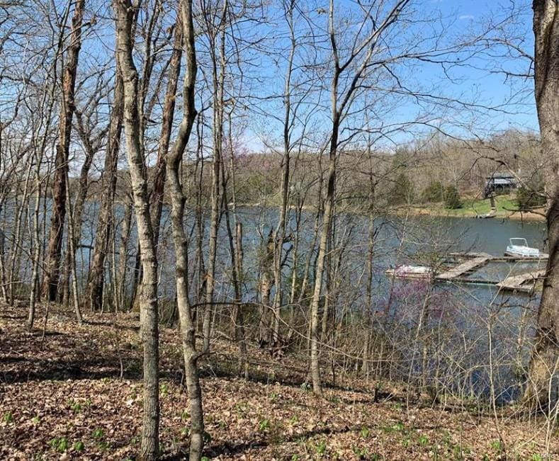 226 Anthonies Mill Rd, Bourbon, MO 65441
