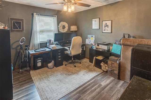 office featuring a ceiling fan, wood finished floors, and a textured wall