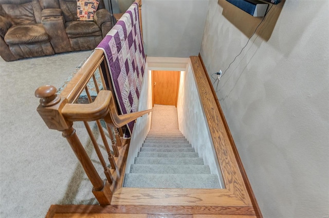 staircase featuring carpet floors