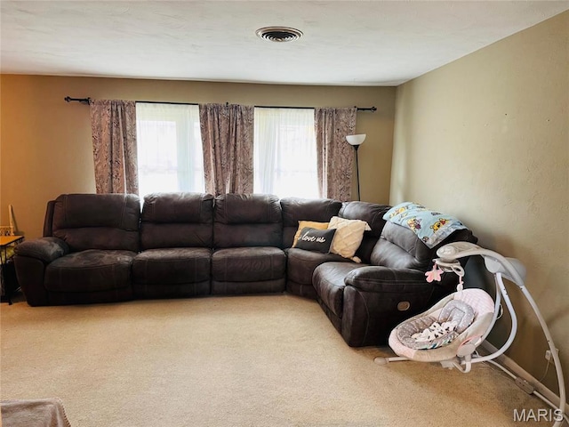1423 Shelley Dr, Vandalia, IL 62471 - living area with carpet flooring