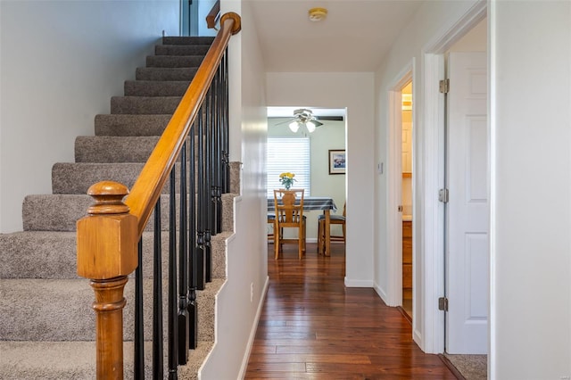 8 Nick Ridge Dr, Washington, MO 63090 - stairs featuring hardwood / wood-style floors, a ceiling fan, and baseboards