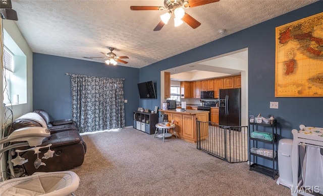22354 Target Rd, Saint Robert, MO 65584 - living area featuring ceiling fan, a textured ceiling, light colored carpet, and baseboards