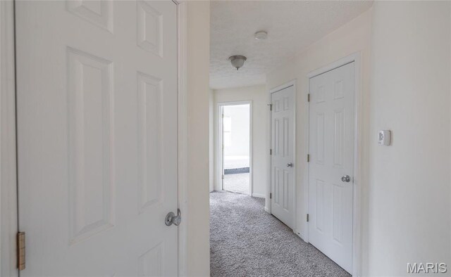 22354 Target Rd, Saint Robert, MO 65584 - hallway with carpet flooring and a textured ceiling