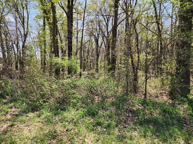 0 S County Road 268, Neelyville, MO 63954 - photo 1