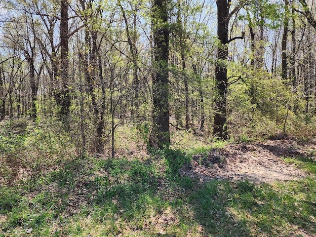 0 S County Road 268, Neelyville, MO 63954 - photo 2