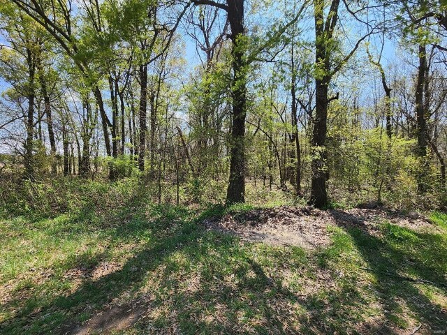 0 S County Road 268, Neelyville, MO 63954 - photo 3