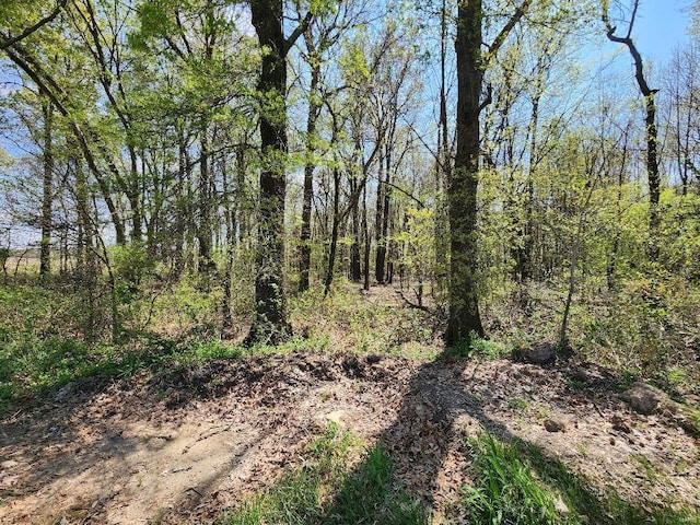 0 S County Road 268, Neelyville, MO 63954 - photo 4