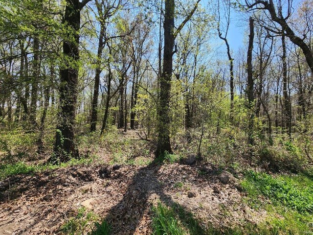 0 S County Road 268, Neelyville, MO 63954 - photo 5