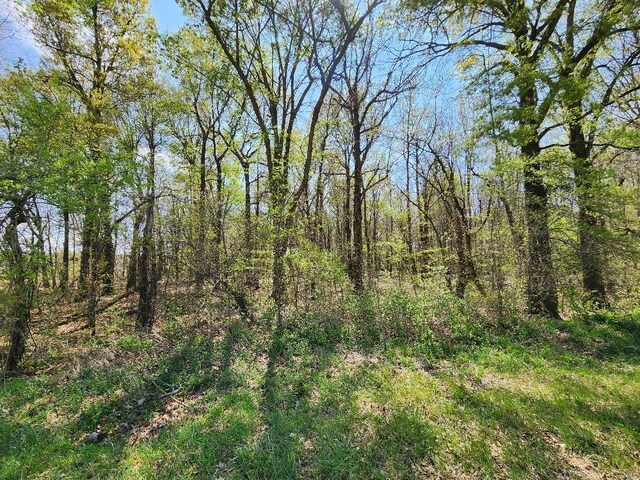 0 S County Road 268, Neelyville, MO 63954 - photo 6