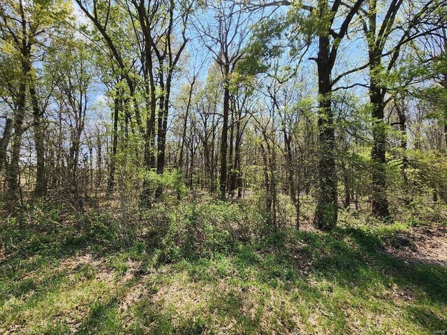 0 S County Road 268, Neelyville, MO 63954 - photo 7