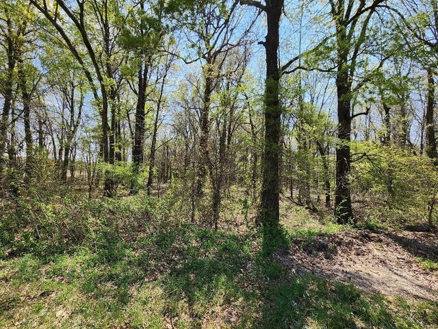 0 S County Road 268, Neelyville, MO 63954 - photo 8