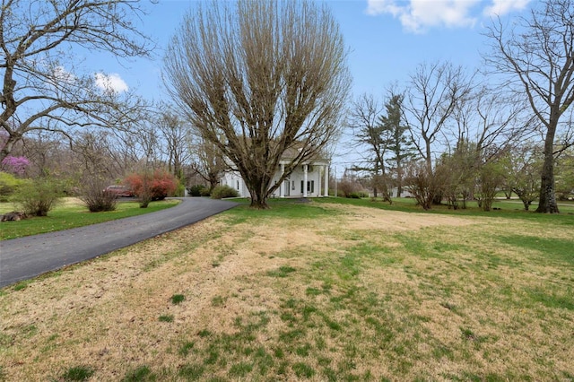425 Riverview Blvd, Chester, IL 62233 - photo 14