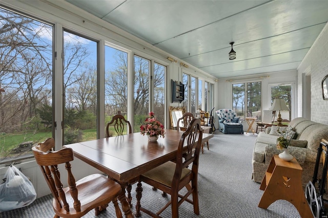 425 Riverview Blvd, Chester, IL 62233 - photo 26
