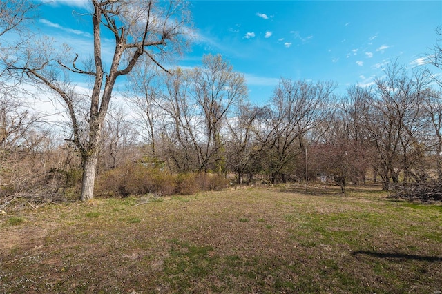 104 E Jefferson Ave, Richland, MO 65556 - view of yard