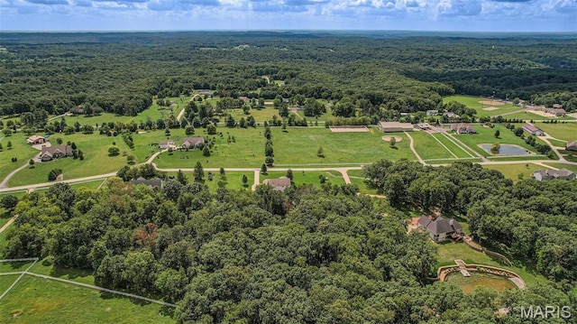 bird's eye view of a heavily wooded area