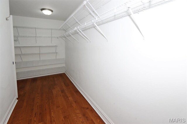walk in closet with dark wood-type flooring