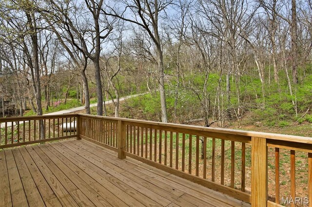 31 Juniper Ter, Pacific, MO 63069 - photo 29