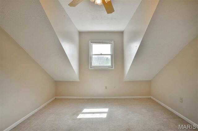 31 Juniper Ter, Pacific, MO 63069 - photo 41
