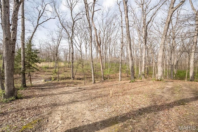 2181 Jarvis Rd, Foristell, MO 63348 - view of local wilderness