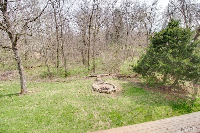 view of green lawn