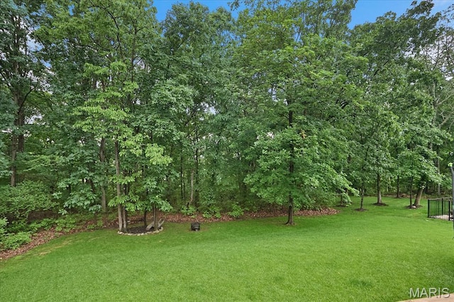 472 Cypress Creek Ln, Imperial, MO 63052 - view of grassy yard