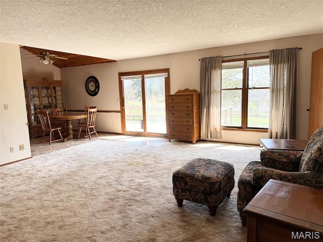 19924 Goldenwood Rd, Lebanon, MO 65536 - carpeted living area with healthy amount of natural light, ceiling fan, and a textured ceiling