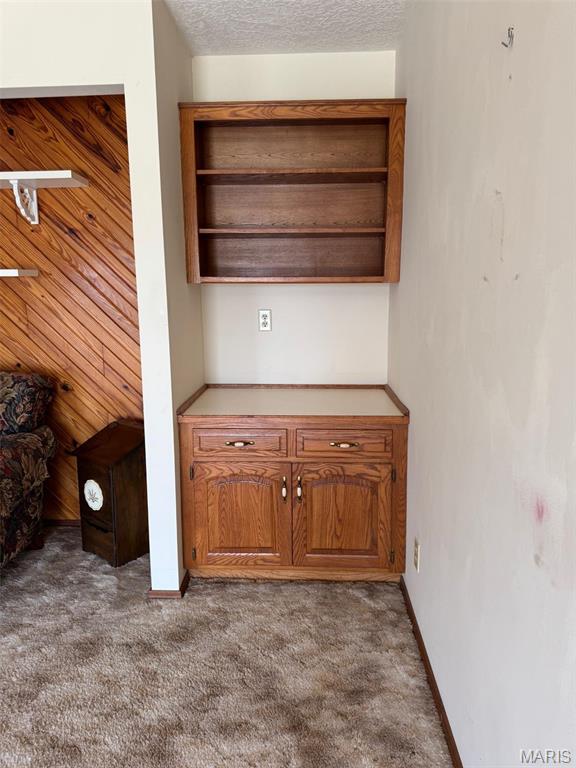 19924 Goldenwood Rd, Lebanon, MO 65536 - detailed view of carpet floors and baseboards