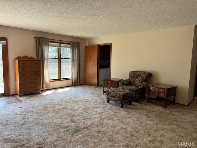 19924 Goldenwood Rd, Lebanon, MO 65536 - sitting room with carpet and a textured ceiling