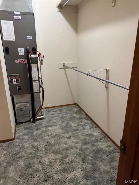 19924 Goldenwood Rd, Lebanon, MO 65536 - spacious closet with carpet floors and heating unit