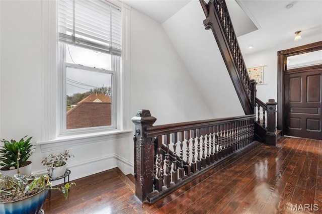 stairway featuring wood-type flooring