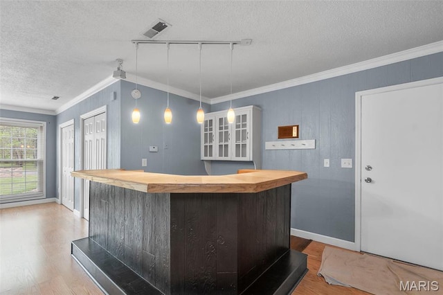 185 Garnet Ln, Cape Girardeau, MO 63701 - indoor dry bar featuring a textured ceiling, wood finished floors, ornamental molding, baseboards, and pendant lighting