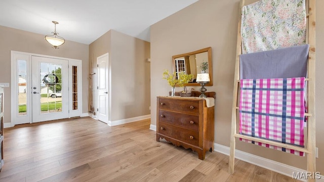 304 Wood Duck Ct, Waterloo, IL 62298 - foyer entrance featuring wood finished floors and baseboards