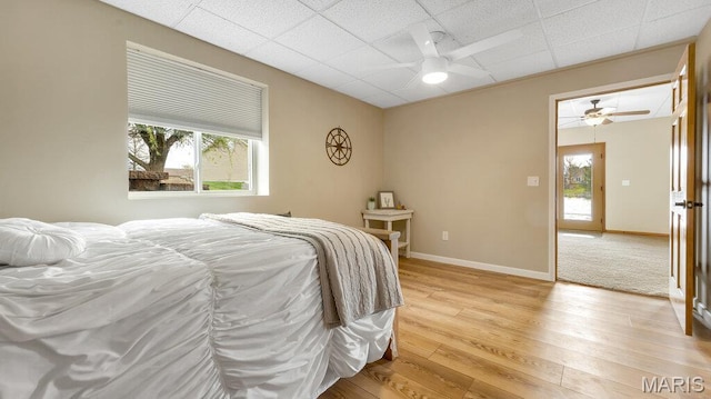 304 Wood Duck Ct, Waterloo, IL 62298 - bedroom with light wood-style floors, multiple windows, a drop ceiling, baseboards, and a ceiling fan