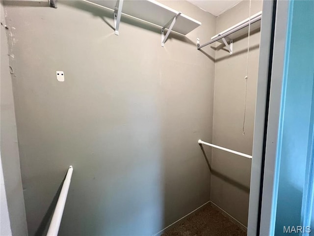 view of spacious closet