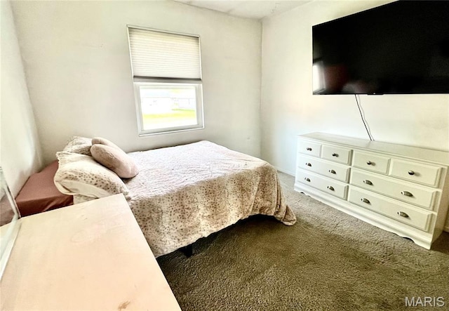 bedroom featuring carpet floors