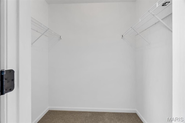 283 Sonnet Cir, Wentzville, MO 63385 - spacious closet with carpet flooring