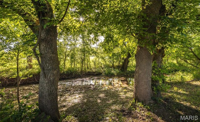 6720 Rock Rd, Bourbon, MO 65441