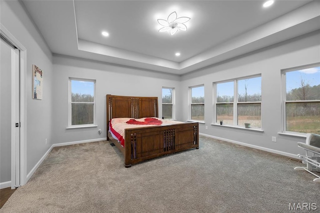 13160 Mammoth Rd, De Soto, MO 63020 - carpeted bedroom with a tray ceiling and recessed lighting