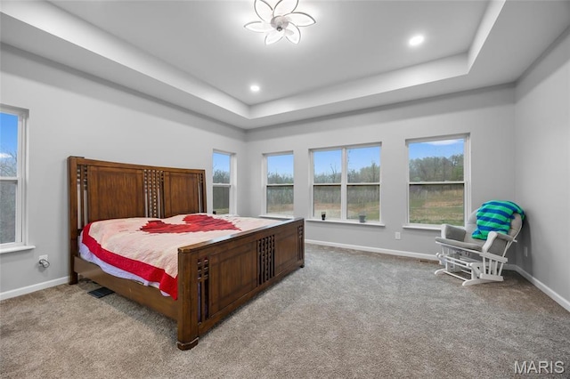 13160 Mammoth Rd, De Soto, MO 63020 - carpeted bedroom featuring a tray ceiling and recessed lighting